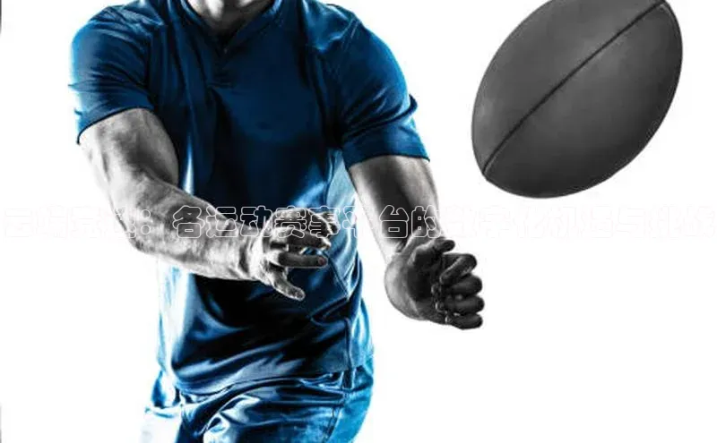 意昂体育平台APP